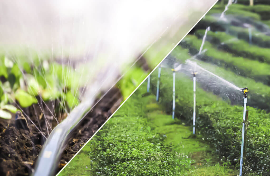 सतत सिंचाई आवश्यकता एवं महत्व सतत सिंचाई आवश्यकता एवं महत्व