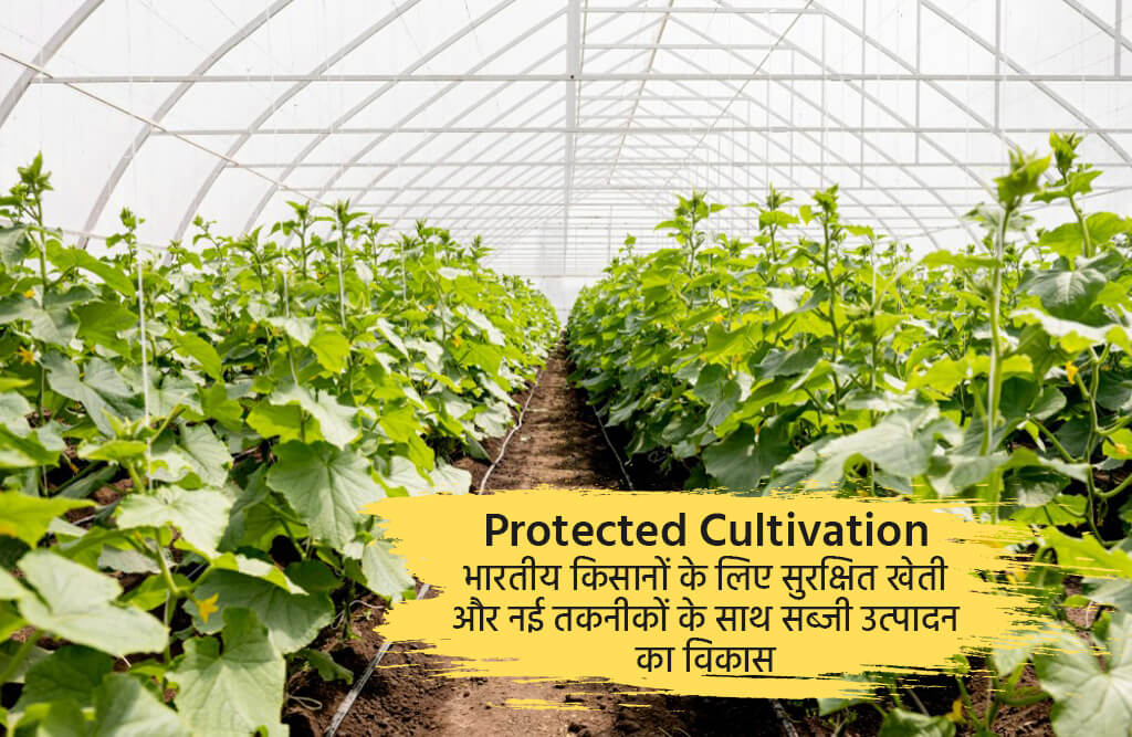 Protected Cultivation