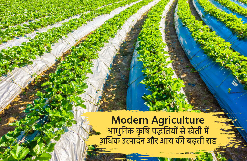 Modern Agricultural