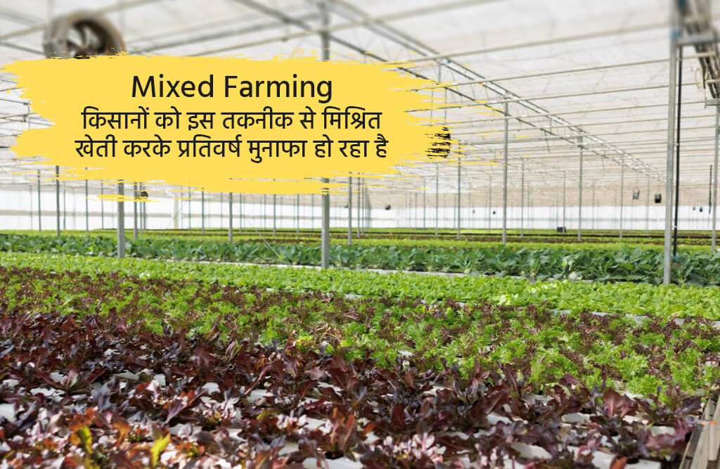 Mixed Farming