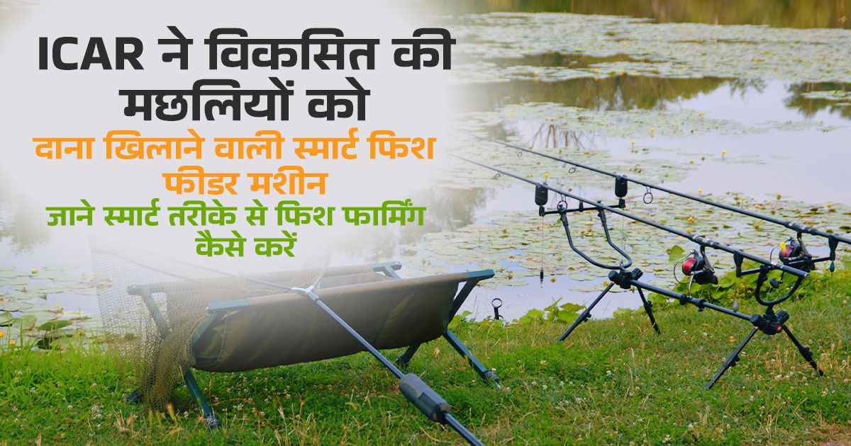 ICAR's solar-powered smart fish feeder machine