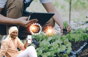 Nutrition management, smart planning and technical measures in agriculture sector