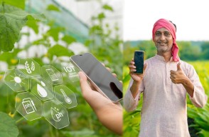 Golden Stories from Fields: Rural Agriculture and Technology Changing Lives