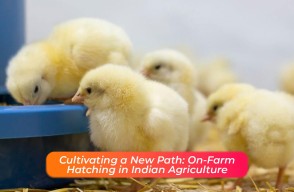 On-farm hatching in Indian agriculture a new direction