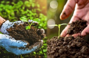 Organic Farming A Unique Farming Method Full of Natural Techniques