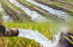 Indian Agricultural Water Resources and Challenges