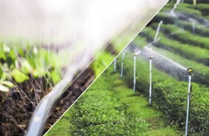 Beginning of new golden era in agriculture sector with continuous irrigation