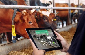 Key to Farmer Success, Active Use of Farm Management Software