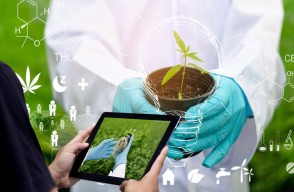 Future Farming Unveiled: Harnessing the Power of Biotechnology for Agricultural Advancement