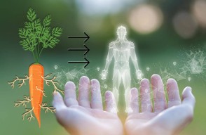 Strengthening Agriculture and Health through Biofortification