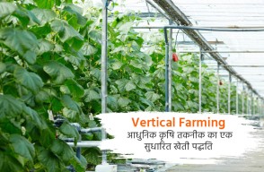 Vertical Farming Method Improved by Modern Agricultural Technology