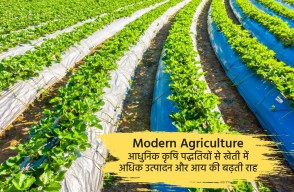 Harvesting Prosperity: Modern Agricultural Innovations for Enhanced Yield and Income