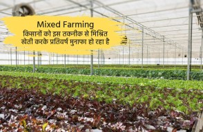 Farmers Making Profits Through Mixed Farming Techniques