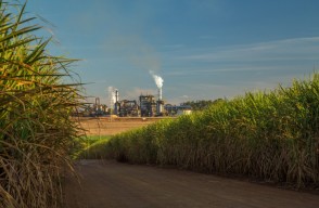 Biomass, Massive Environmental and Economic Benefits for India