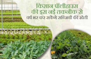 Polyhouse Farming in Hindi: किसान पॉलीहाउस की इस नई तकनीक से, वर्ष भर कर सकेंगे सब्जियों की खेती, आइए जानें Khetivyapar पर