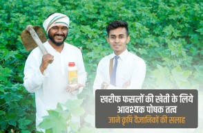 खरीफ फसलों की खेती के लिये आवश्यक पोषक तत्व, जाने कृषि वैज्ञानिकों की सलाह