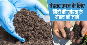 Soil Fertility