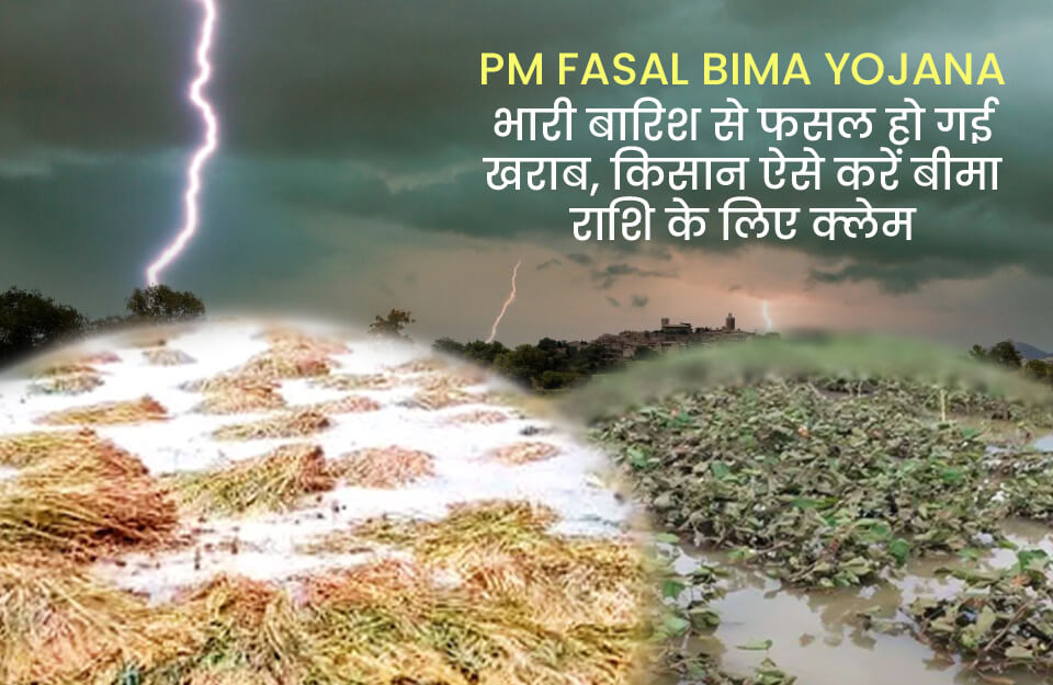 PM Fasal Bima Yojana in Hindi: भारी बारिश से फसल हो गई खराब, किसान ऐसे करें बीमा राशि के लिए क्‍लेम
