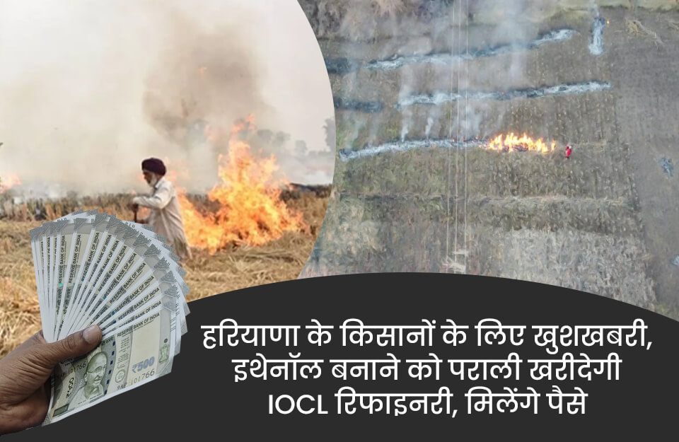 हरियाणा के किसानों के लिए खुशखबरी, इथेनॉल बनाने को पराली खरीदेगी IOCL रिफाइनरी, मिलेंगे पैसे