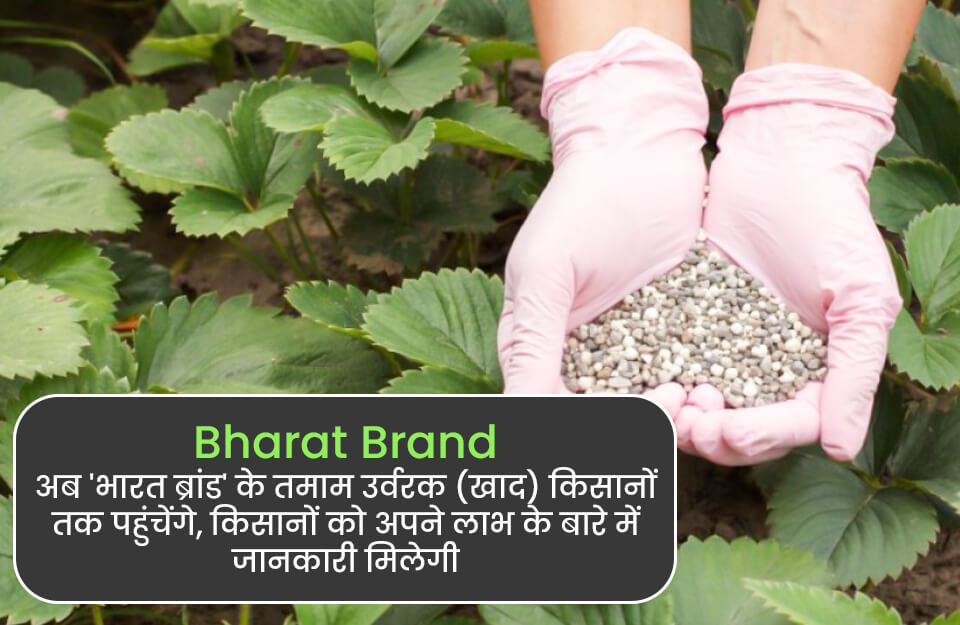 Bharat Brand in Hindi: अब ‘भारत ब्रांड’ के मिलेंगे सभी उर्वरक (Fertilizer), किसान जानें अपने फायदे की बात
