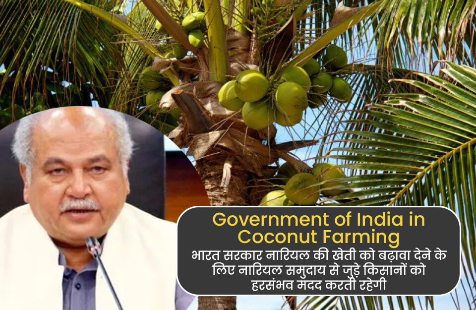 Government of India in Coconut Farming in Hindi: भारत सरकार देश में नारियल की खेती को बढ़ावा देने के लिए नारियल समुदाय से जुड़े किसानों को हरसंभव मदद देती रहेगी.