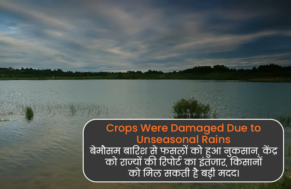Crops Were Damaged Due to Unseasonal Rains in Hindi: बेमौसम बारिश से फसलों को हुआ नुकसान, केंद्र को राज्यों की रिपोर्ट का इंतजार, किसानों को मिल सकती है बड़ी मदद