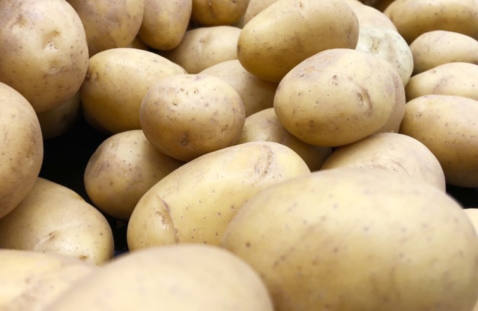 भारतीय बाजार में आलू की कीमत फिलहाल स्थिर