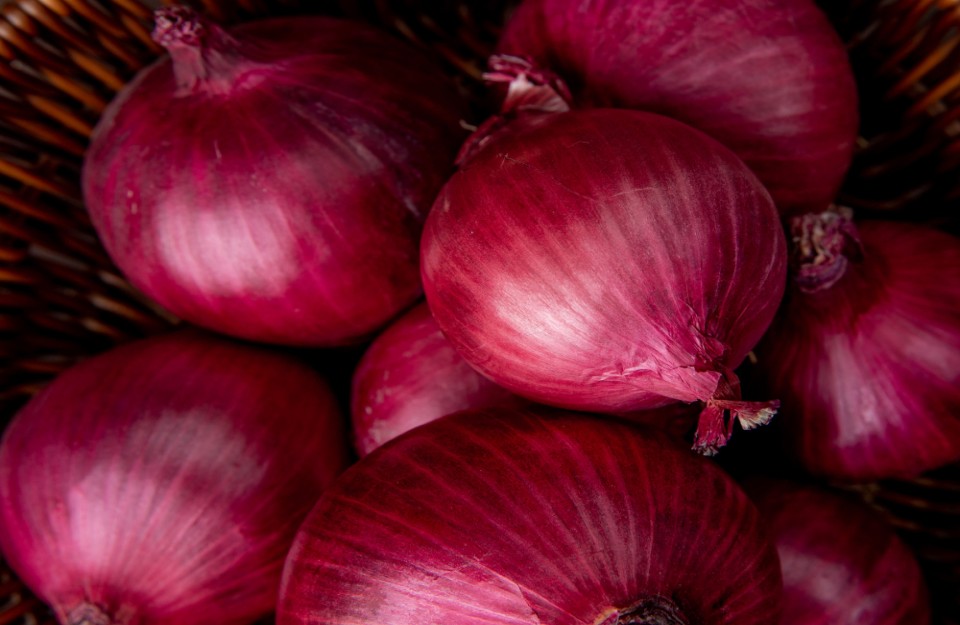 The maximum and minimum prices on July 27 ‘2023’ of Onion in the Indian markets