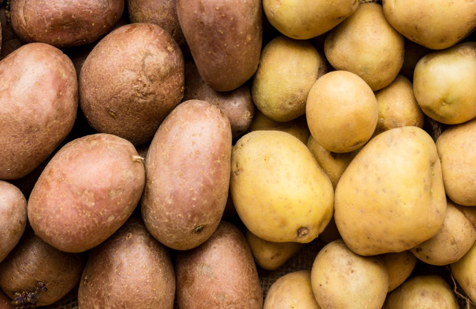 The maximum and minimum prices on July 28 ‘2023’ of potatoes in the Indian markets