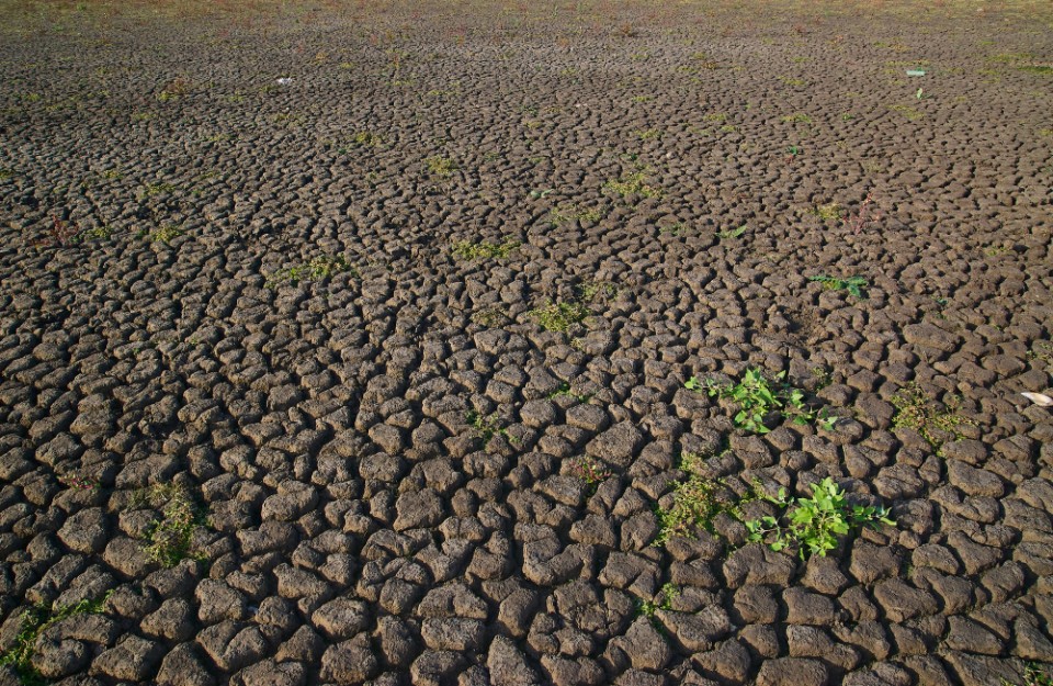 Indias Looming Crisis On the Brink of Drought Despair in Hindi: भारत 100 से अधिक वर्षों में सबसे सूखे अगस्त की ओर बढ़ रहा है