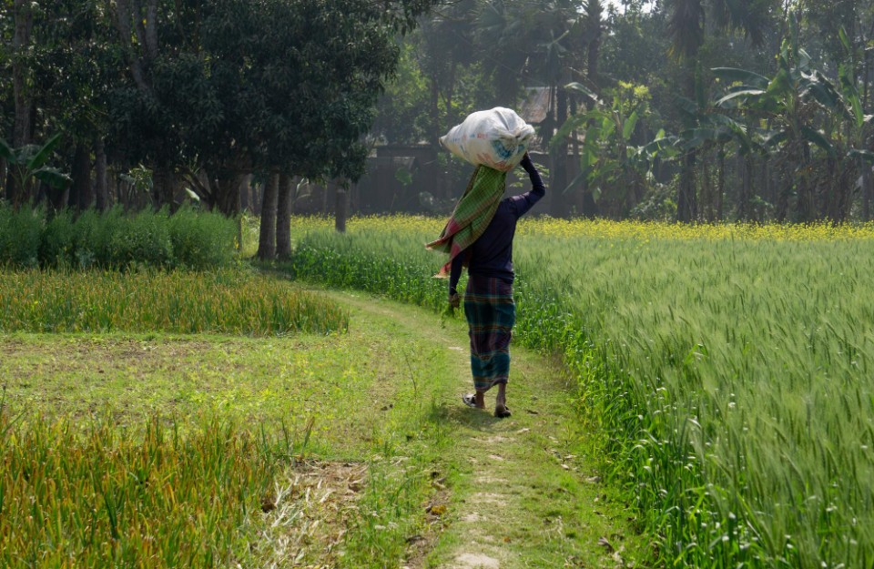 Monsoon Active in Eastern India For 5 days in Hindi: आगामी 5 दिनों तक उत्तरी पेनिन्सुलर, मध्य और आसपास के पूर्वी भारत में सक्रिय मानसून की स्थिति का संभावना Monsoon Active in Eastern India For 5 days in Hindi: आगामी 5 दिनों तक उत्तरी पेनिन्सुलर, मध्य और आसपास के पूर्वी भारत में सक्रिय मानसून की स्थिति का संभावना