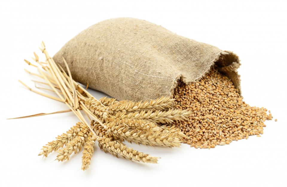 09 सितम्बर को जारी मुख्य मण्डियों में गेहूँ के प्रमुख वेरायटी के औसतन भाव