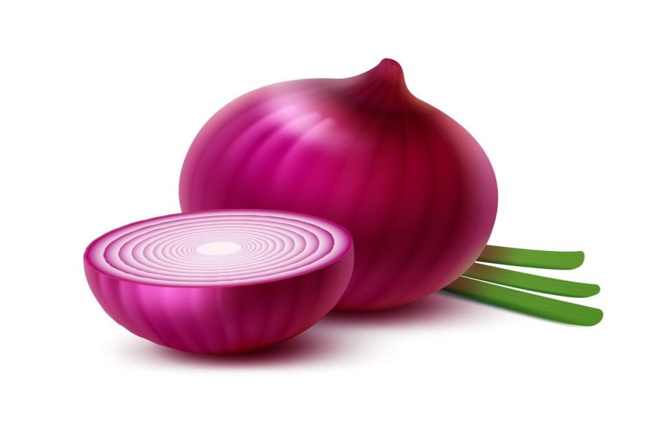 16 सितम्बर को जारी भारतीय मडियों में प्याज का अधिकतम व न्यूनतम भाव