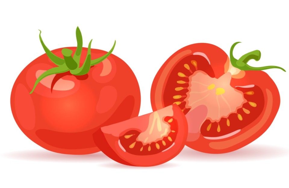 16 सितम्बर को जारी भारतीय मडियों में टमाटर का अधिकतम व न्यूनतम भाव