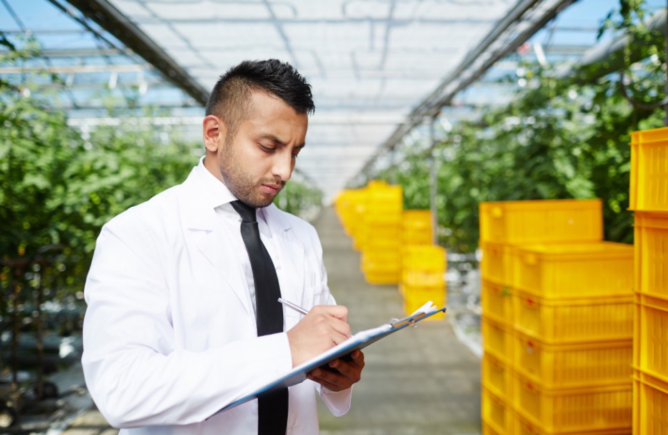 Kerala, with the assistance of the World Bank, will establish agricultural marketing outlets