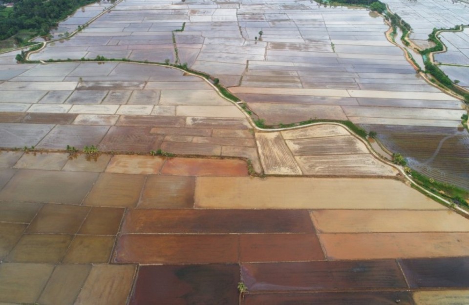 Farmers Land Auction in Hindi: राजस्थान में कर्ज न चुकाने पर बैंक नहीं कर सकेंगे किसानों की जमीन नीलाम