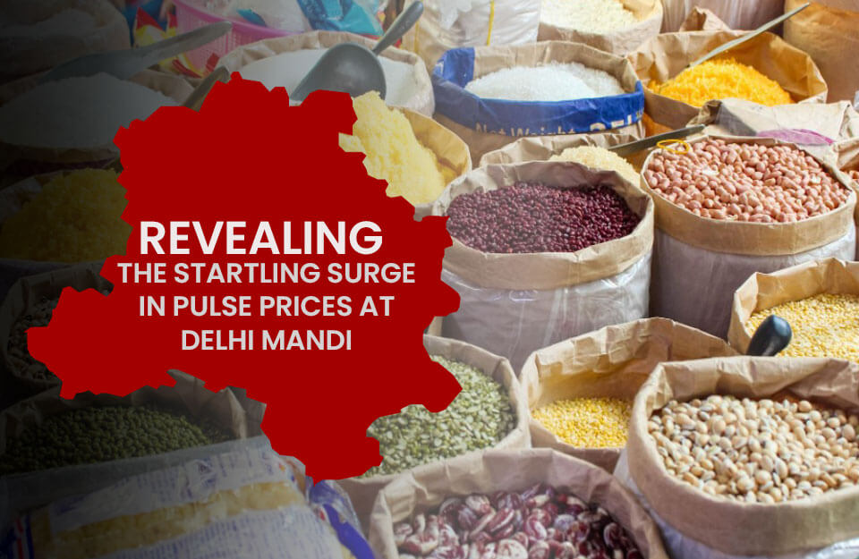 Shocking Price Disclosure in Delhi Market December 5, 2023 in Hindi: 5 दिसंबर, 2023 को दिल्ली मंडी में चौंकानेवाली पल्स मूल्य की खुलासा