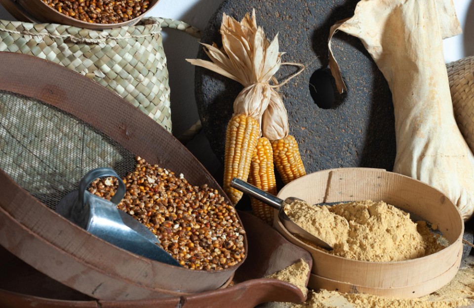 Up Government Farmers For Millets Store In Hindi: यूपी सरकार का किसानों के लिए मिलेट्स स्टोर खोलने पर 20 लाख तक का अनुदान