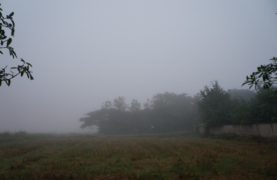 Weather Updates North India 28 to 31 December in Hindi: उत्तर भारत में छाया घना कोहरा बारिश और तापमान में बदलाव की उम्मीद Weather Updates North India 28 to 31 December in Hindi: उत्तर भारत में छाया घना कोहरा बारिश और तापमान में बदलाव की उम्मीद