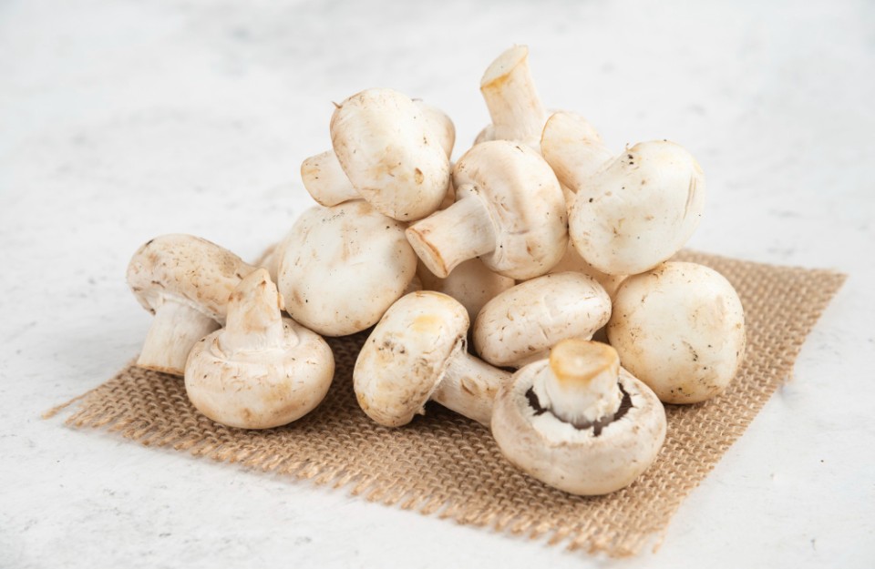 Latest prices of mushrooms Main information of Himachal Jammu-Kashmir and Punjab