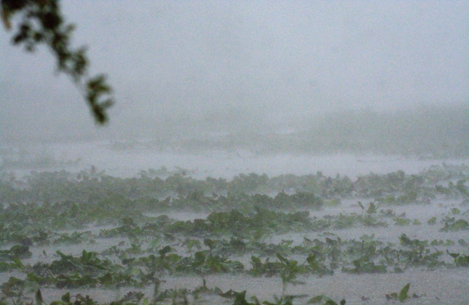 Weather Update 05 January 2024  in Hindi: गतिशील मौसम वर्षा बर्फबारी और घना कोहरा  05 से 9 जनवरी 2024