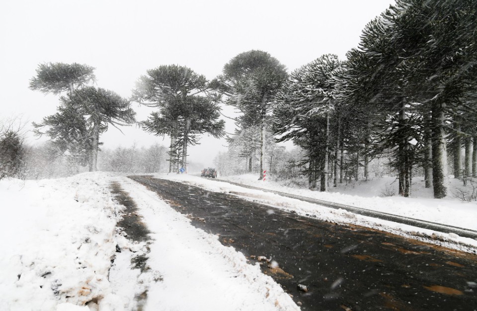 Rainfall, Snowfall, and Fog Alerts for the Upcoming Week IMD Report