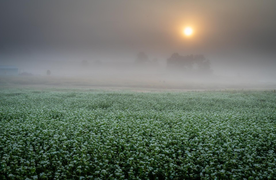 Weather Update 10th January 2024 in Hindi: शीतलहर की मार से लोगों में हाहाकार, अगले 5 दिनों तक इन राज्यों में बारिश की संभावना