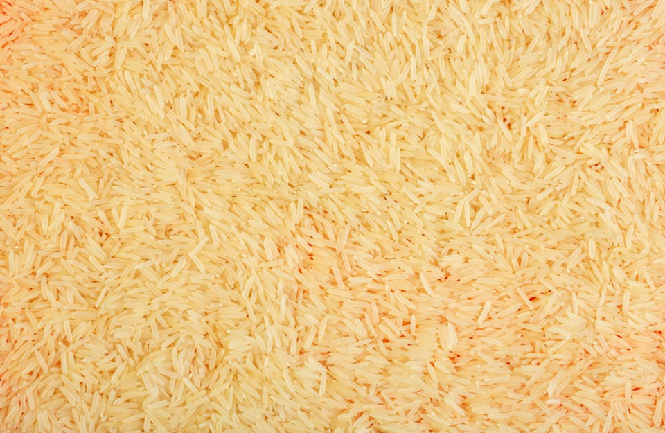 Rice Mandi Prices in Hindi: उत्तर प्रदेश अनाज मंडी की नई रिपोर्ट, बसमती 1509 चावल का मंडी भाव और अन्य प्रमुख वैरायटी का खुलासा