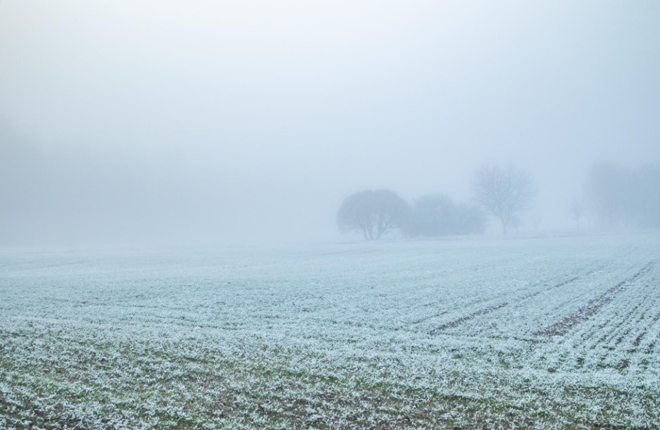 दिल्ली-से-पंजाब-हरियाणा-तक-शीतलहर-और-कोहरे-का-प्रकोप-जारी-है दिल्ली-से-पंजाब-हरियाणा-तक-शीतलहर-और-कोहरे-का-प्रकोप-जारी-है