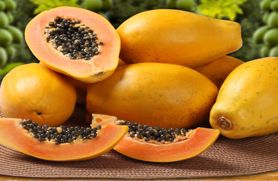 papaya-mandi-prices-today