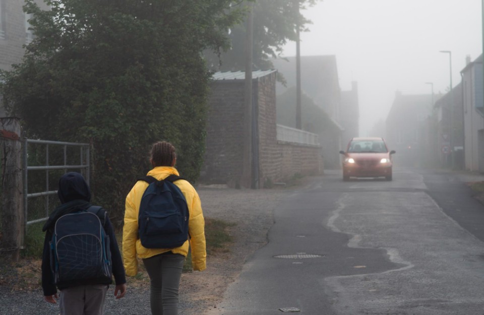 उत्तर-प्रदेश-में-20-जनवरी-तक-सभी-स्कूल-बंद-रहेंगे उत्तर-प्रदेश-में-20-जनवरी-तक-सभी-स्कूल-बंद-रहेंगे