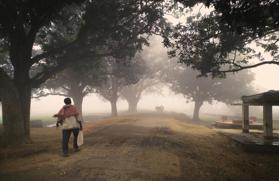 पूरे-उत्तर-भारत-में-जारी-रहेगा-कोहरे-का-कहर