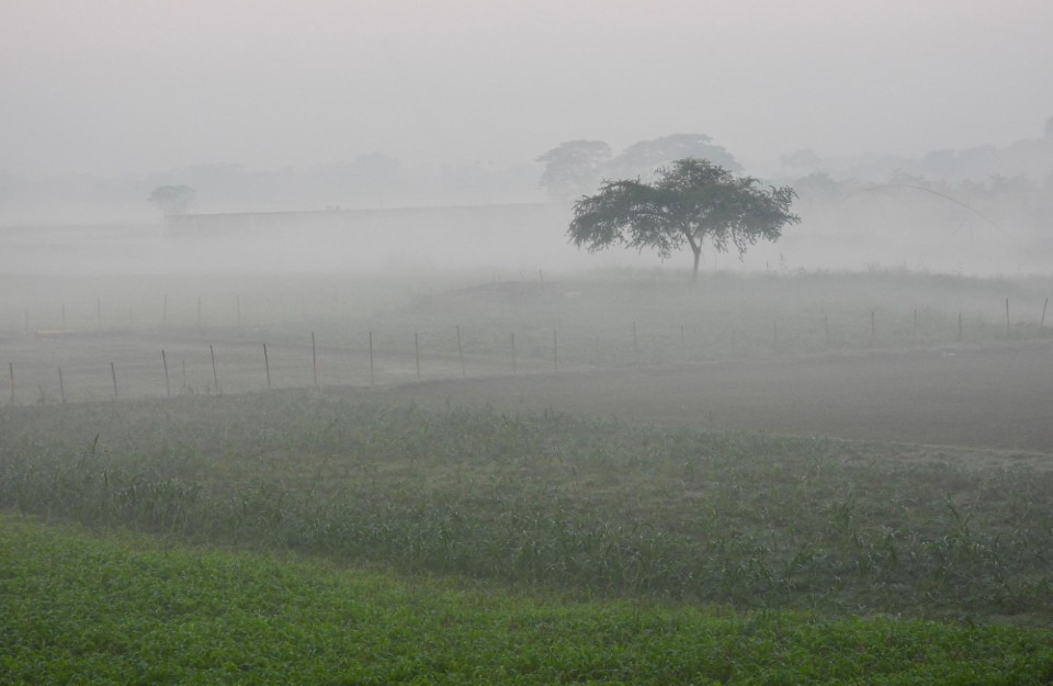 उत्तर-भारत-में-अभी-कुछ-दिन-और-नहीं-मिलेगी-ठंड-से-राहत
