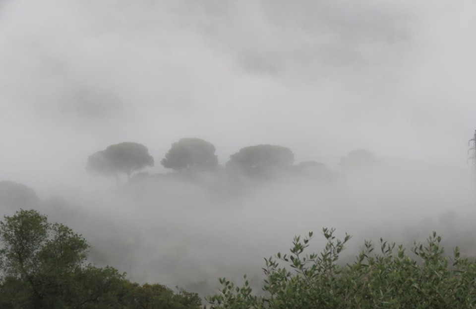 उत्तरी-भारत-में-ठंड-का-प्रकोप उत्तरी-भारत-में-ठंड-का-प्रकोप